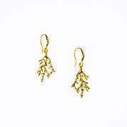 gold coral shaped dangle earrings on a white background