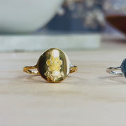 Camera pans horizontally to show three engraved paw print rings in gold vermeil, sterling silver and rose gold vermeil. A hand shows off a gold paw print ring in the sunlight. An up close shot shows two hands holding and rotating a gold engraved paw print ring. A person opens a box revealing a sterling silver personalized custom paw print ring. Perfect gift for pet lovers, dog moms, cat moms, animal lovers, memorial gift for pet loss, pet memorial, new pet celebration gift, or a birthday gift for her.