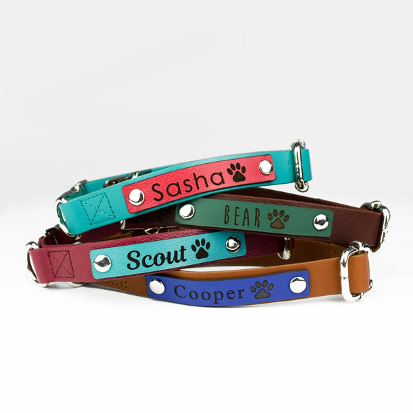 Pet collars with names on outlet them